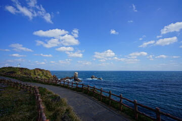 Fototapeta na wymiar a wonderful landscape with a seaside walkway