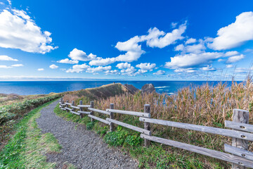 秋の神威岬と積丹ブルー