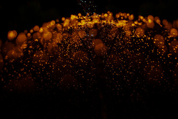 A beautiful night photo with the light from many small lanterns uniting into one kingdom to create the most beautiful circular bokeh image of the night.