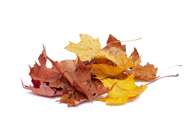 Heap of fallen leaves isolated on white background
