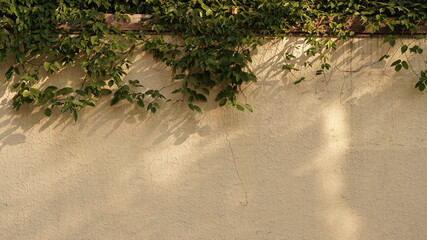 The old and beautiful buildings view with the warm sunlight and shadow on them in Shanghai of the China in autumn