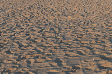 Sandy beach of Belgium. At the Belgian coast.