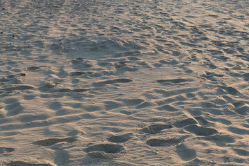 Sandy beach of Belgium. At the Belgian coast.