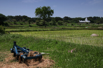 Fototapeta na wymiar Plow covered in hay next to rice fields with temple in background