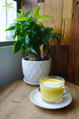 Turmeric Golden latte Milk is a creamy Ayurvedik drink made with dairy free milk, ginger, turmeric, and coconut oil. 