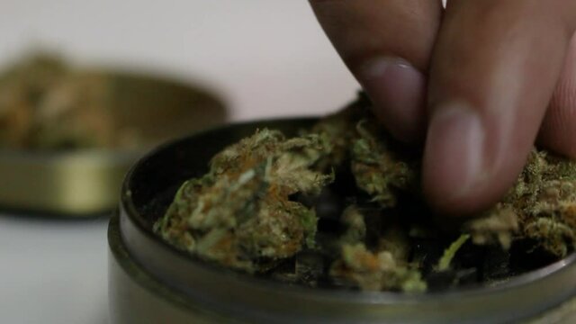 rellenando moledor - rellenando moledor con mota - rellenando mota - marihuana - weed - dope