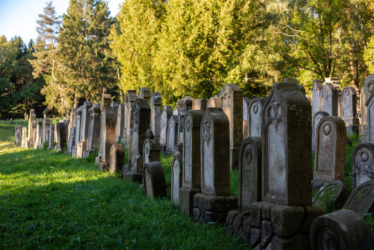 Old Jewish cemetery with graves and trees in the sunset
