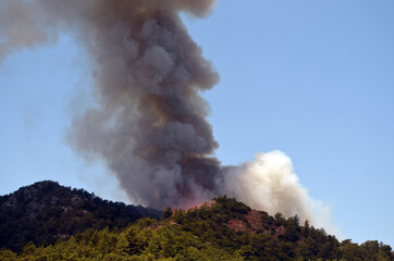 Fototapeta na wymiar Wildfire in the forest near a resort town.Mugla Region,Turkey.