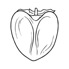 Icon half persimmon outline. A delicious and healthy berry growing in a subtropical climate. Vector illustration isolated for design and web.