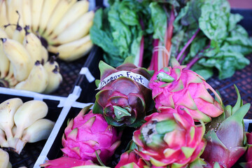farmers market dragonfruit