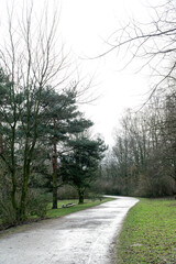 Footpath in the park with trees and cloudy sky