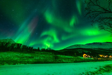 wundervolle Nordlichter in Troms in den Lyngenalps. begeisterndes Lichtspiel am nächtlichen Himmel, über einer beleuchteten Farm in Lakselvdal. Aurora Borealis bei Tromsö, Norwegen