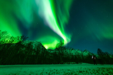wundervolle Nordlichter in Troms in den Lyngenalps. begeisterndes Lichtspiel am nächtlichen Himmel, über einer beleuchteten Farm in Lakselvdal. Aurora Borealis bei Tromsö, Norwegen