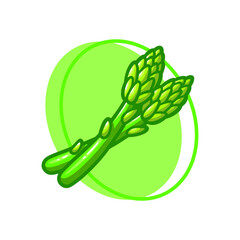 Asparagus vegetables drawing illustration design
