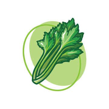Celery vegetables drawing illustration design