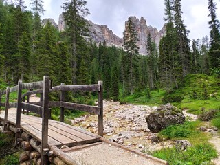 Fototapeta na wymiar Wooden bridge on a dry stream against pine woodland and mountains in Cortina d'Ampezzo, Dolomites, Italy
