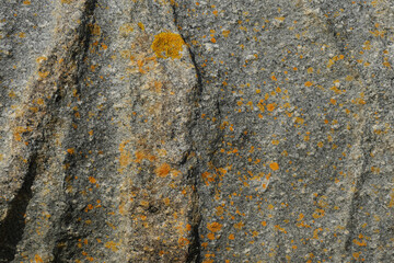 Colorful stone surface. Abstract nature background for design. Graphic element