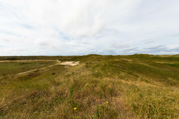 Fototapeta premium Panoramic view of summer landscape with slopes and small hilly on the dunes of Texel salt marsh area National Park, Dutch North sea coastline, De Koog, Texel Island, Noord Holland, Netherlands.