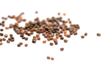 small seeds of rocket salad, local produce of Canary Islands, Spain
