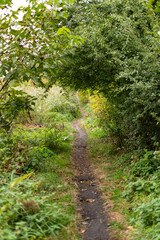 Path in the countryside in the autumn. Rural landscape