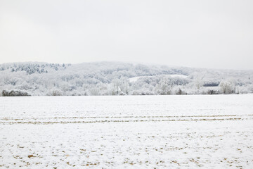 Landscape of countryside in winter. Field and forest with snow. France.
