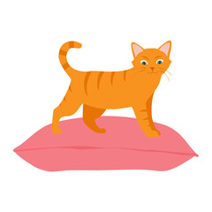 Cute orange cat sitting comfortably on cushion pillow