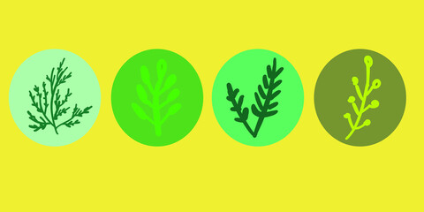 Four leaves vector illustration set in the isolated circles on the light yellow background. Four different tree branches in different blue, green, deep green and turquoise circles. Botanical vector.