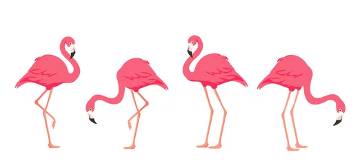 Foto auf Acrylglas Flamingo Flamingo tropischer Vogel. Rosa Flamingo.