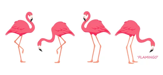 Poster de jardin Flamingo Oiseau tropical flamant rose. Flamant rose.