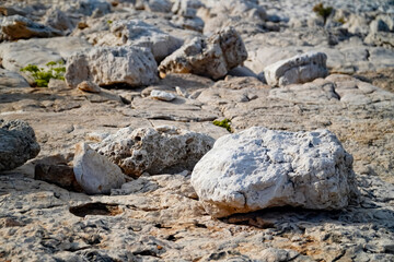 stone background , volcanic rocks , rocky surface  