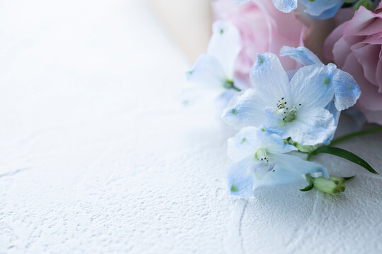 1 464 Best 淡い色 Images Stock Photos Vectors Adobe Stock