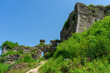 Fototapeta premium Ruins of Khust castle which was built as a fortress to protect the salt road from Solotvyno in Khust, Ukraine on June 24, 2021.