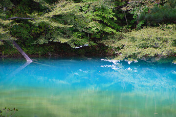 青沼・五色沼自然探勝路（福島県・北塩原村）