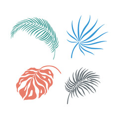 Leaves isolated on white. Tropical leaves. Hand drawn vector illustration
