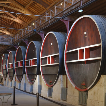 chai - vieux foudre