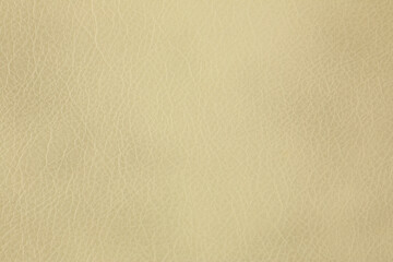 Artificial Leather Background Synthetics