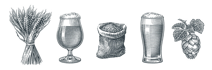 Beer set. Barley malt in burlap bag, sheaf of barley, hops and two beer pints. Hand drawn engraving style illustrations.