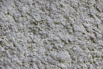 Close-up of decorative wall plaster. Abstract gray texture.
