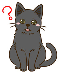 疑問に思う猫（黒）