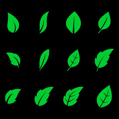 Set of green leaf icons on black background. vector illustration