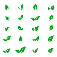 set of green leaf icons on white background. vector illustration.