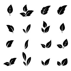 set of Leaves isolated from the background. Leaves icon different shapes in modern flat style