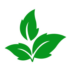 Green natural leaf. leaf icon shapes in modern flat style