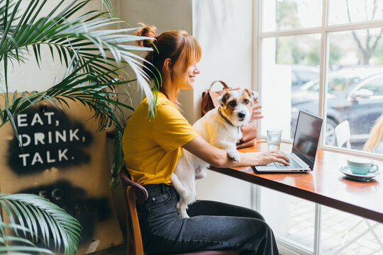 Young girl student sititng at table with computer and dog at work place. Pretty amazing female freelancer working at cafe with jack russell terrier.