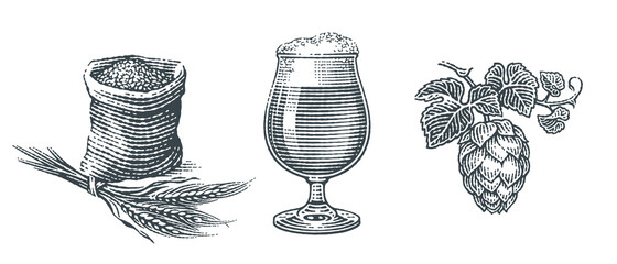 Beer set. Barley malt in burlap bag with barley twig, hop and beer pint. Hand drawn engraving style illustrations.