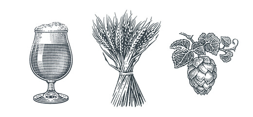 Beer set. Sheaf of barley, hops and beer pint. Hand drawn engraving style illustrations.