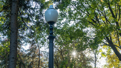 Street lantern on the summer foliage background. Sunshine. Nature concept.