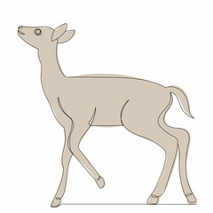 one line drawing of a fawn, isolated