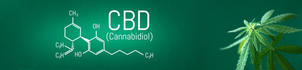 Cannabis CBD, Cannabidiol leaf with CBD title and formula - Legal cannabis - banner green background. Banner format with place for copy space
