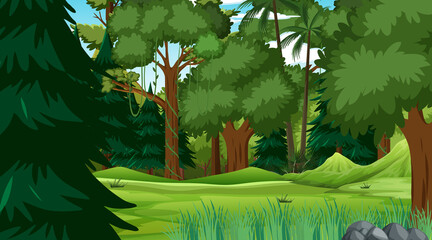 Forest scene with various forest trees
